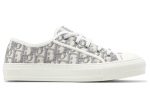 Walk'N'Dior Embroidered Canvas Low 'Grey' - Dubai Sneakers