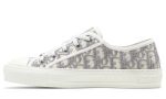 Walk'N'Dior Embroidered Canvas Low 'Grey' - Dubai Sneakers