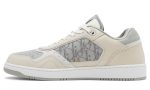 Dior B27 Low 'Dior Oblique Galaxy - Grey Beige' - Dubai Sneakers