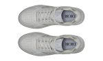 Dior B27 Low Top Sneaker Grey - Dubai Sneakers