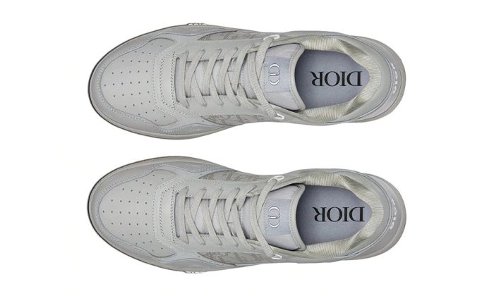 Dior B27 Low Top Sneaker Grey - Dubai Sneakers